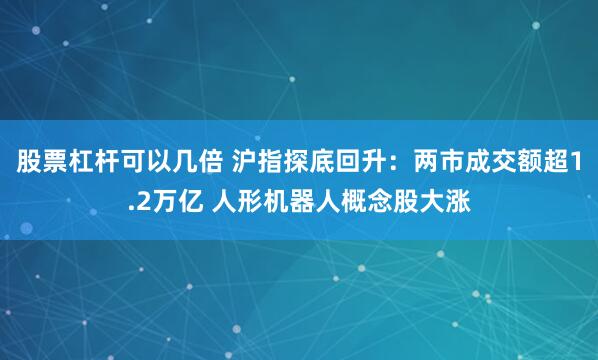 股票杠杆可以几倍 沪指探底回升：两市成交额超1.2万亿 人形机器人概念股大涨