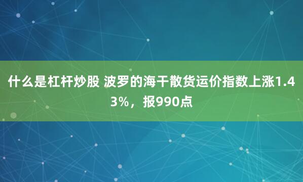 什么是杠杆炒股 波罗的海干散货运价指数上涨1.43%，报990点