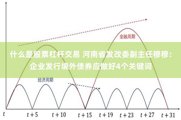 什么是股票杠杆交易 河南省发改委副主任穆穆：企业发行境外债券应做好4个关键词