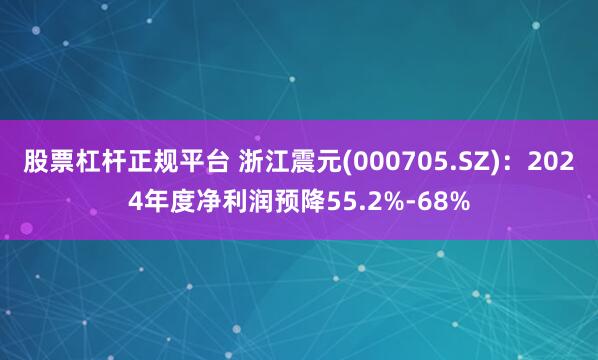 股票杠杆正规平台 浙江震元(000705.SZ)：2024年度净利润预降55.2%-68%