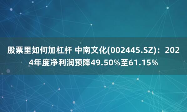 股票里如何加杠杆 中南文化(002445.SZ)：2024年度净利润预降49.50%至61.15%