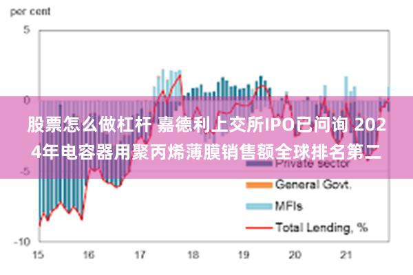股票怎么做杠杆 嘉德利上交所IPO已问询 2024年电容器用聚丙烯薄膜销售额全球排名第二